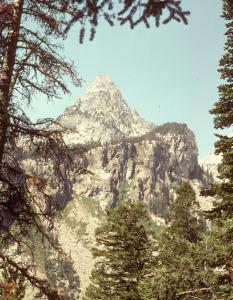 shining nez perce